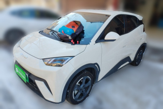 比亚迪 海鸥 2023款 飞翔版