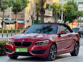 宝马2系(进口) 2019款 225i 敞篷轿跑车 运动设计套装