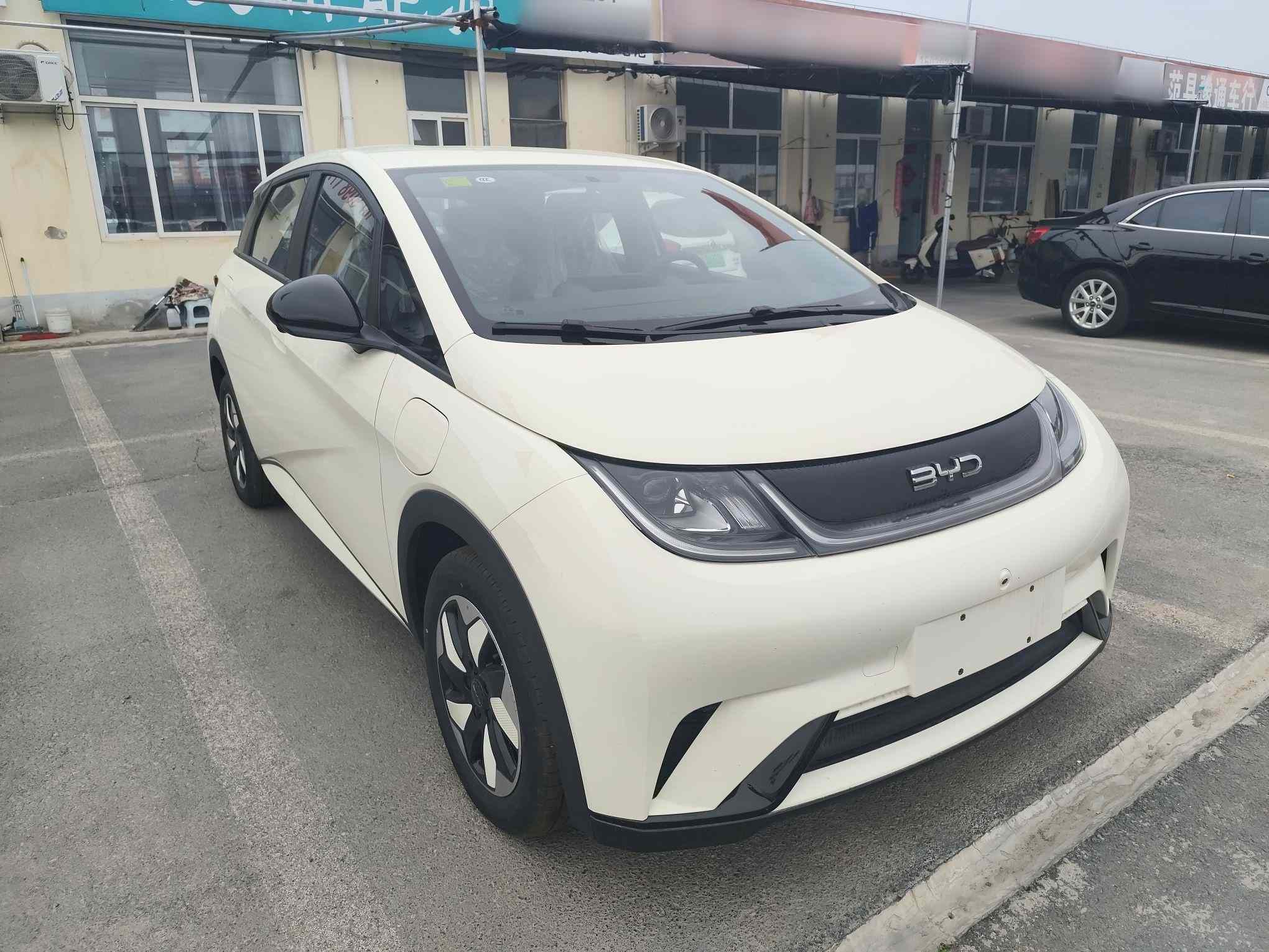 比亚迪 海豚 2025款 420km 自由版(5)