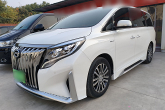 广汽传祺 传祺M8 2021款 大师系列 390T 尊贵版