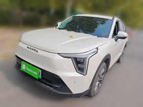 哈弗枭龙 2023款 1.5L 110KM领航版