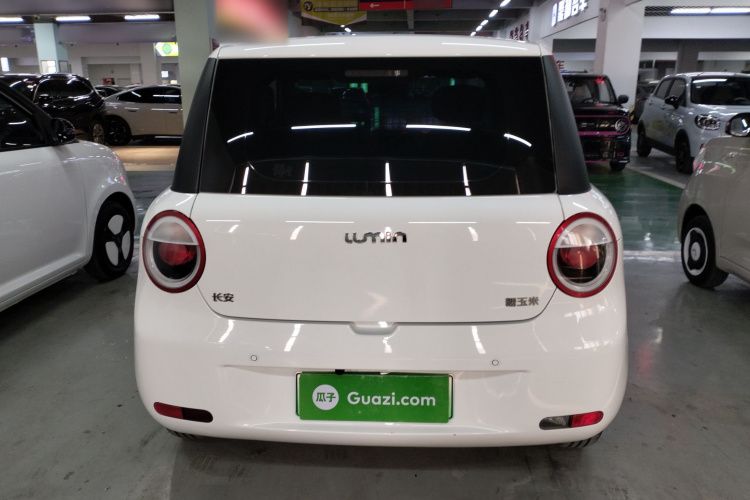 长安启源 长安Lumin 2023款 301km 蜜沁款车身外观6