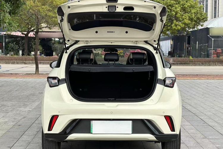 比亚迪 海豚 2023款 420km 时尚版中控内饰7006