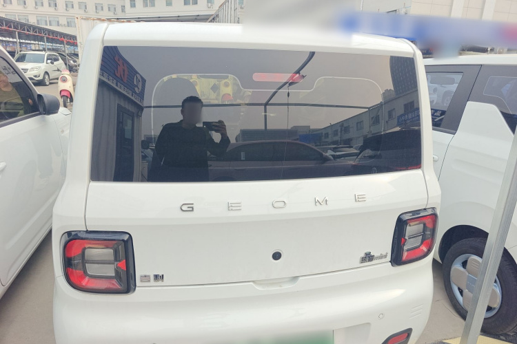 吉利银河 2024款 熊猫mini 200km 耐力熊车身外观6