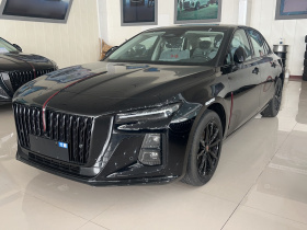 红旗H5 2025款 2.0T 自动玄影版
