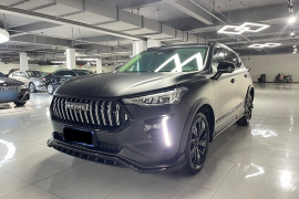 哈弗赤兔 2021款 激擎版 1.5T 黄金兔