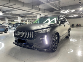 哈弗赤兔 2021款 激擎版 1.5T 黄金兔