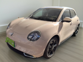 欧拉好猫 2024款 401km 豪华型