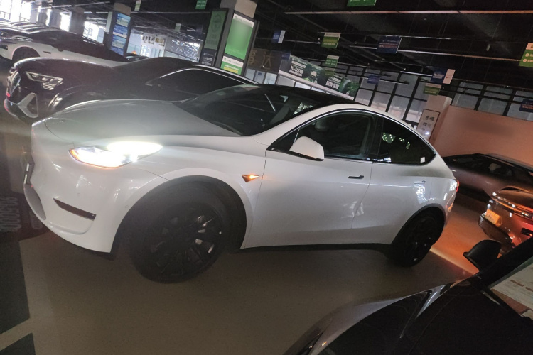 特斯拉 Model Y 2021款 长续航全轮驱动版车身外观6003