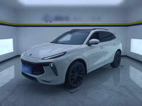 东风风行 风行T5 EVO 2021款 1.5TD DCT星耀版