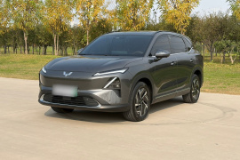 五菱汽车 五菱星光S 2024款 130km 旗舰型