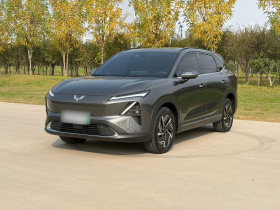 五菱汽车 五菱星光S 2024款 130km 旗舰型