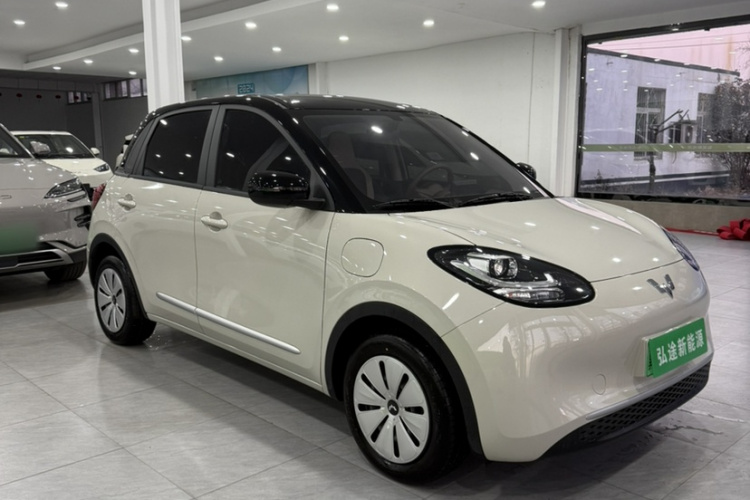 五菱汽车 五菱缤果 2024款 203km 轻享款车身外观6001