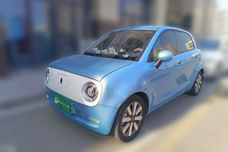 欧拉黑猫 2019款 351km 亲子版