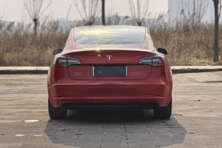 特斯拉 Model 3 2021款 标准续航后驱升级版车身外观6002