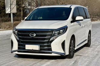 广汽传祺 传祺M8 2021款 领秀系列 390T 尊贵版