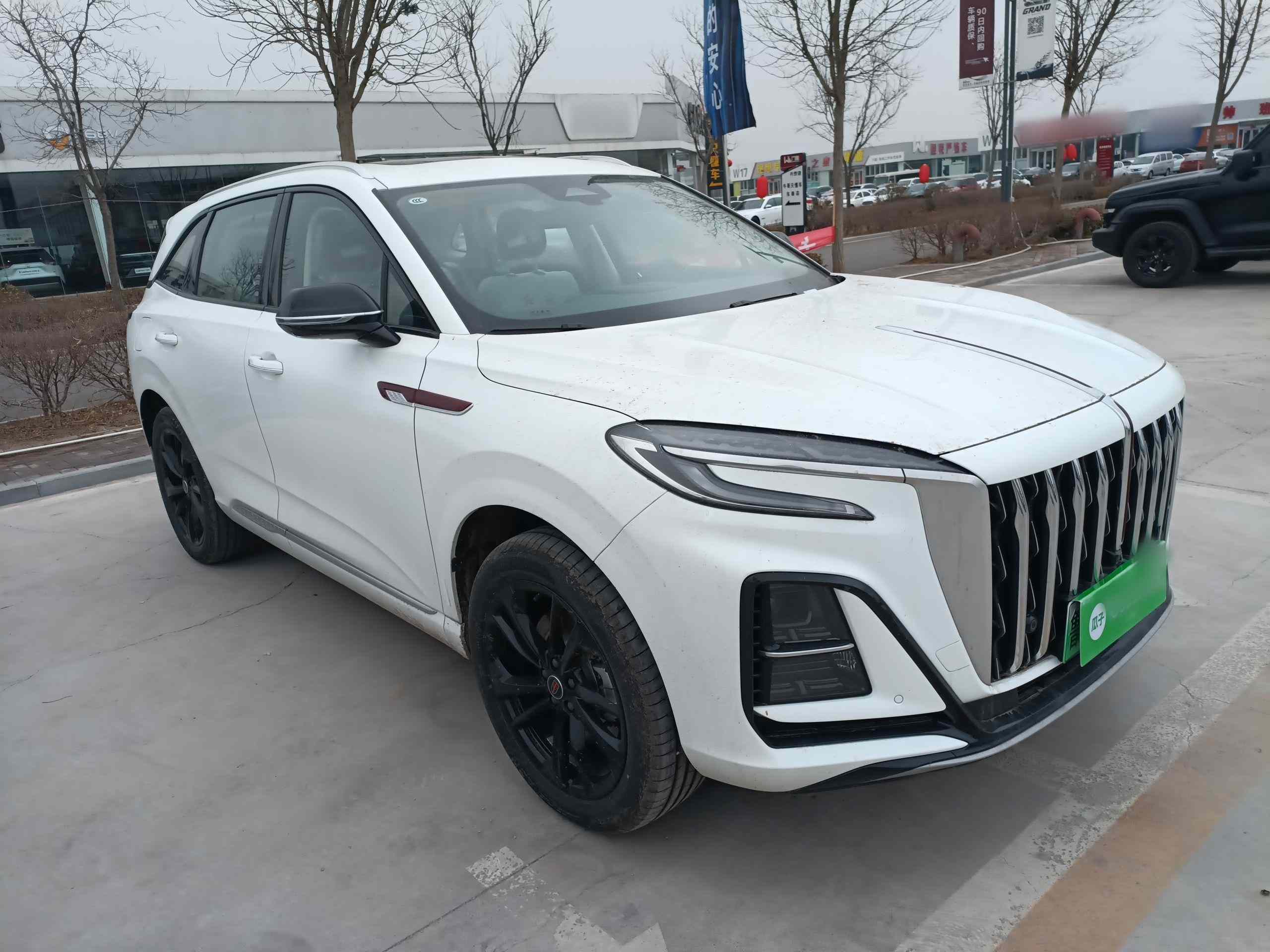 红旗HS3 PHEV 2025款 117km 劲为PLUS版(5)