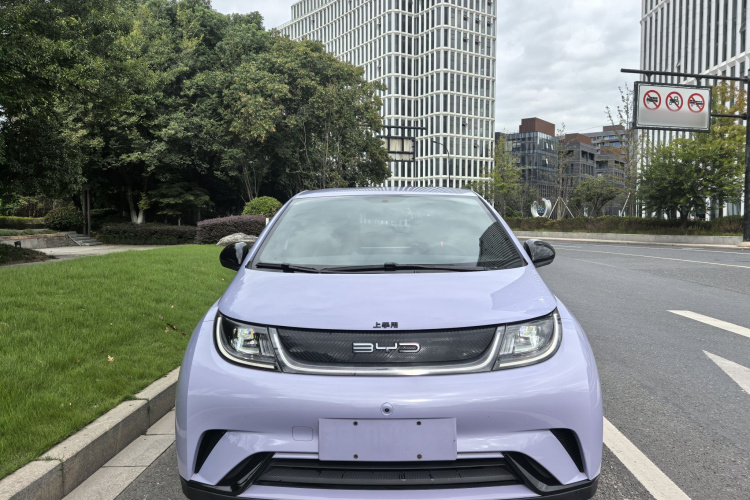 比亚迪 海豚 2023款 420km 自由版车身外观6001