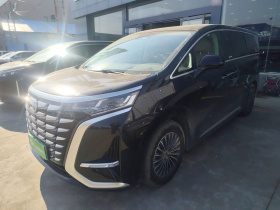 腾势D9 2024款 DM-i 980 四驱旗舰型