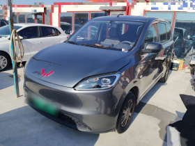 五菱汽车 五菱宏光新能源 2024款 纯电版 300KM 实用型