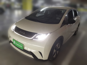 比亚迪 海豚 2025款 420km 自由版