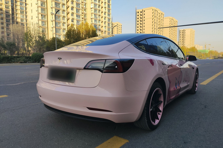 特斯拉 Model 3 2021款 标准续航后驱升级版 3D6车身外观6006