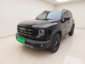 哈弗大狗 2021款 1.5T DCT两驱边牧版