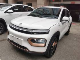 东风纳米 纳米BOX 2022款 冠军款 轻风版 201KM 标准型