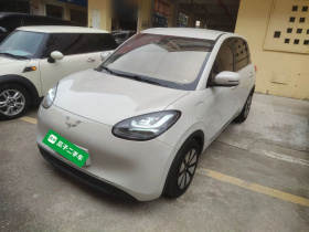 五菱汽车 五菱缤果 2023款 333km 灵犀互联款