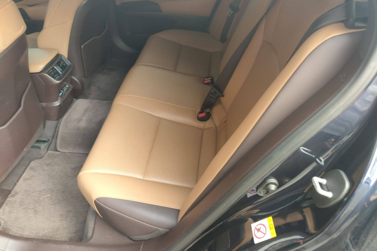 雷克萨斯ES 2018款 200 卓越版 国VI中控内饰7004