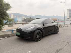 特斯拉 Model Y 2023款 后轮驱动版