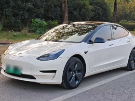 特斯拉 Model 3 2022款 后轮驱动版