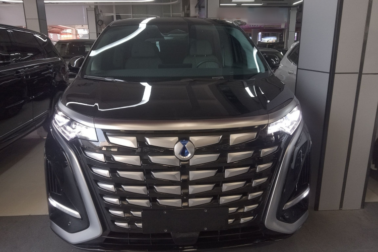 腾势D9 2023款 DM-i 945 公务版车身外观2