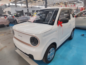 吉利银河 2024款 熊猫mini 200km 耐力熊