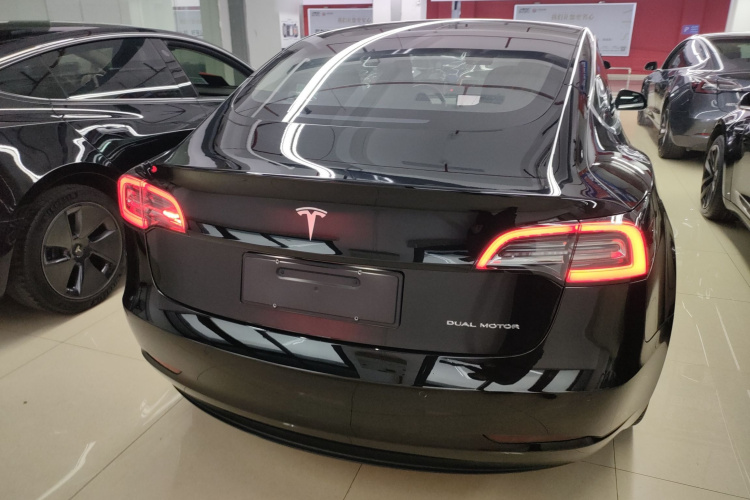 特斯拉 Model 3(进口) 2019款 长续航全轮驱动版车身外观6