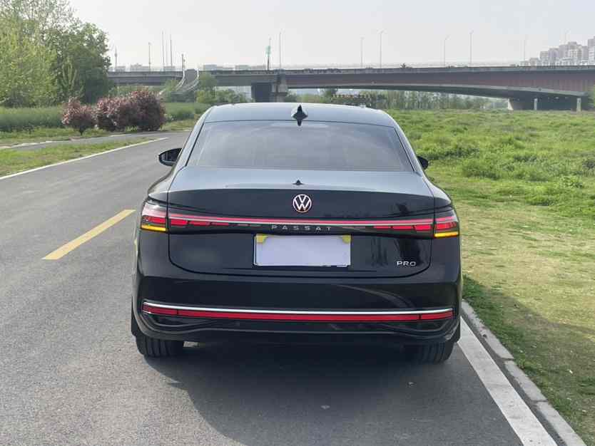 大众 帕萨特 2025款 Pro 380TSI 龙运版(2)
