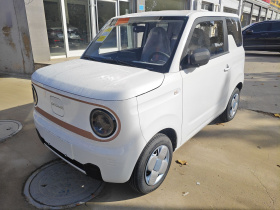 吉利银河 2024款 熊猫mini 200km 耐力熊