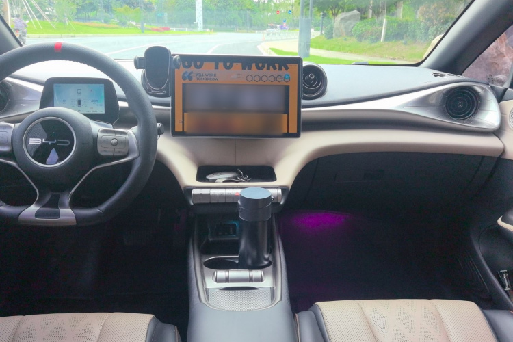 比亚迪 海豚 2023款 420km 自由版局部细节16