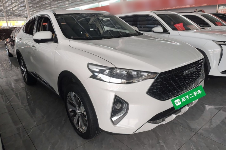 哈弗F7x 2019款 2.0T 两驱极智潮玩版车身外观3