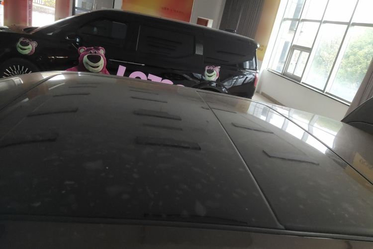 欧拉好猫 2022款 莫兰迪版 400km标准续航 尊贵型 磷酸铁锂局部细节57