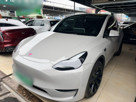 特斯拉 Model Y 2022款 长续航全轮驱动版