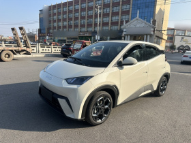 比亚迪 海鸥 2025款 305km 自由版