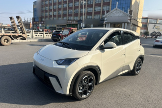 比亚迪 海鸥 2025款 305km 自由版