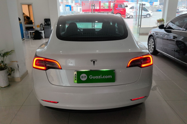 特斯拉 Model 3 2020款 改款 长续航后轮驱动版车身外观6004