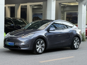 特斯拉 Model Y 2021款 长续航全轮驱动版