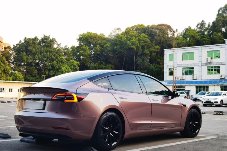 特斯拉 Model 3 2020款 标准续航后驱升级版车身外观6004