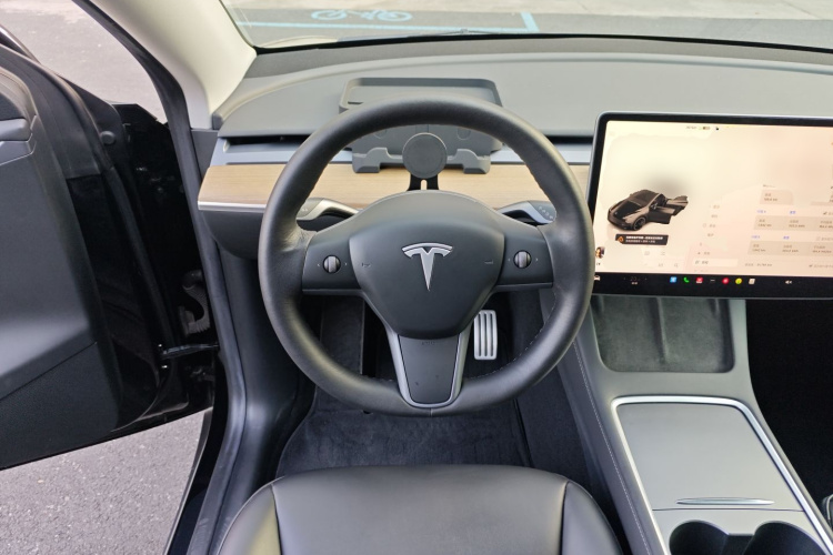 特斯拉 Model Y 2021款 Performance高性能全轮驱动版中控内饰13