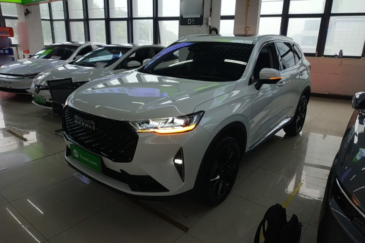 哈弗H6 2021款 第三代 2.0T 自动两驱Max车身外观6003