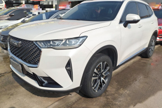 哈弗H6 2021款 第三代 1.5T 自动两驱Pro