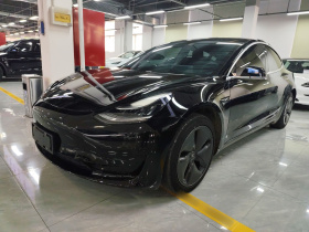 特斯拉 Model 3 2020款 标准续航后驱升级版